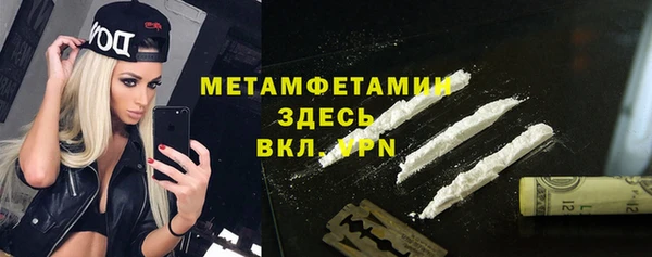 сатива Богданович