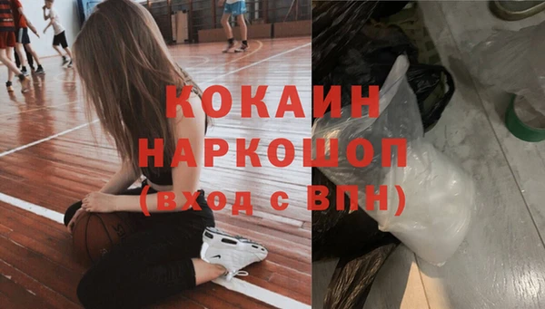 сатива Богданович